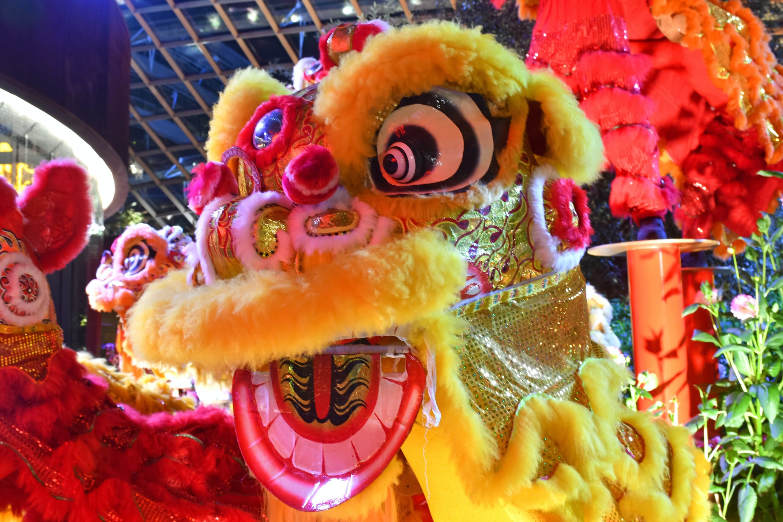 A colorful image of a Lunar New year Dragon Dance performance