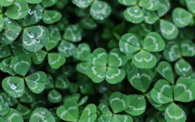Unique Fundraising Ideas for St. Patrick’s Day