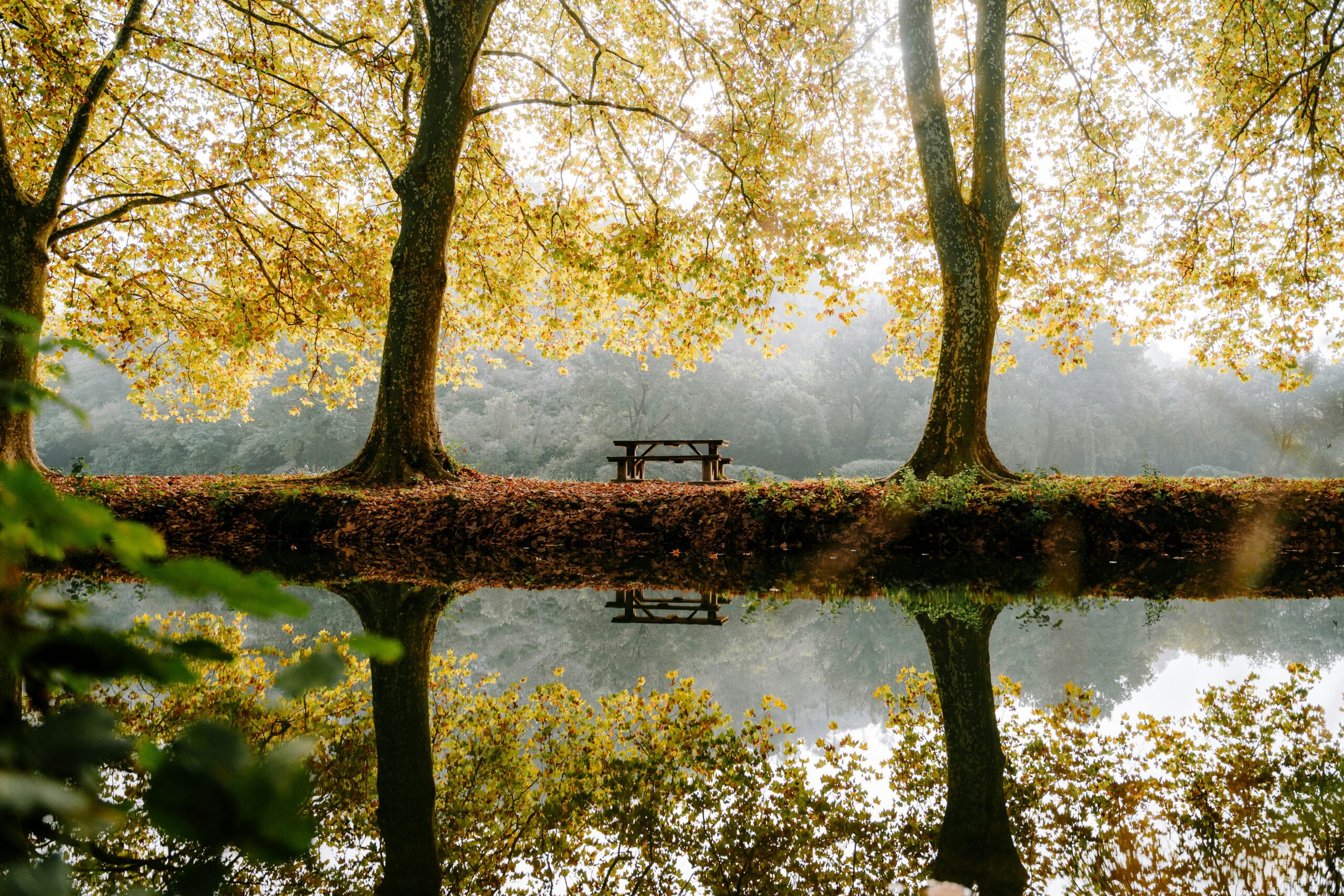 Fall fundraising ideas a beautiful autumn nature scene with water and a siren bench beneath trees